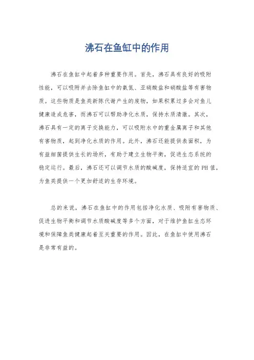 沸石在鱼缸中的作用