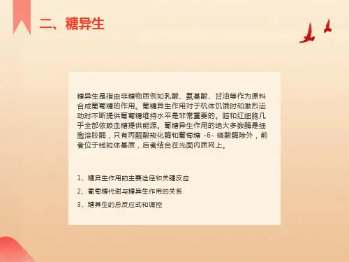 糖代谢的其他途径
