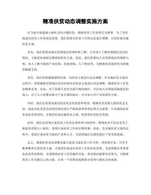 精准扶贫动态调整实施方案