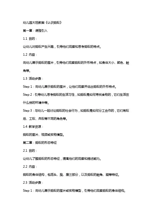 幼儿园大班教案《认识蚂蚁》