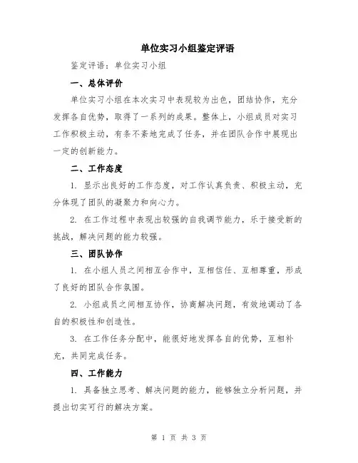 单位实习小组鉴定评语