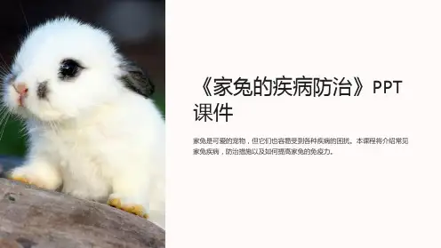 《家兔的疾病防治》课件