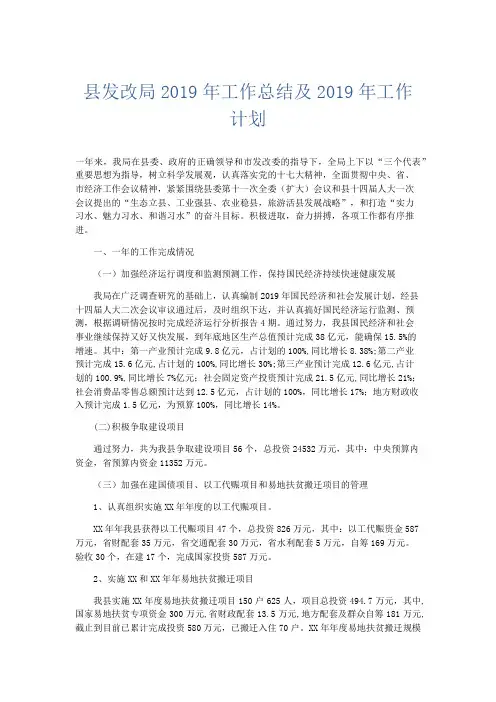 工作总结-县发改局2019年工作总结及2019年工作计划 精品