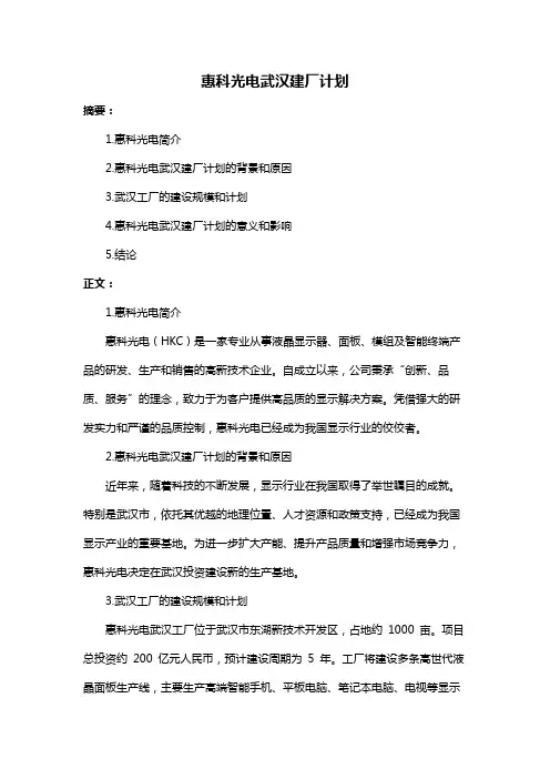 惠科光电武汉建厂计划