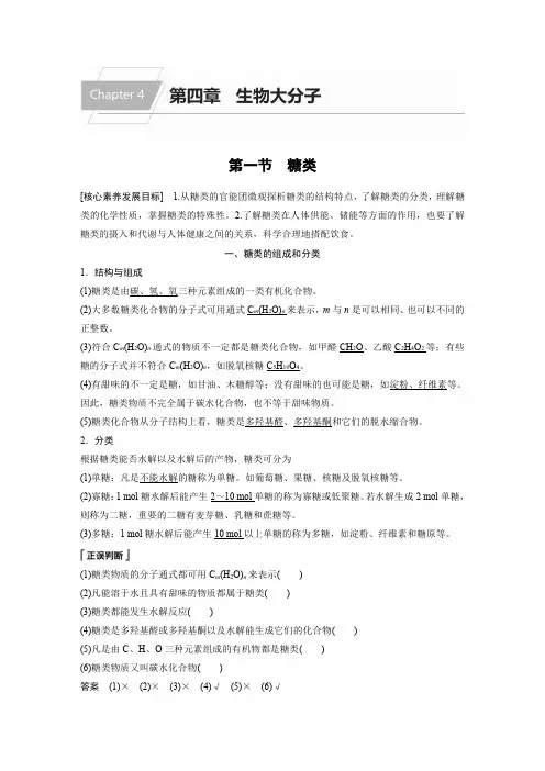 高中化学新教材教案：糖类