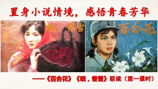 3.《百合花》《哦香雪》联读课件统编版高中语文必修上册PPT