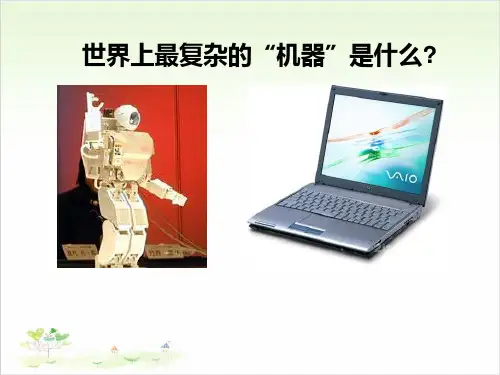 五年级下册科学-大脑-苏教版(共21张)-PPT课堂课件