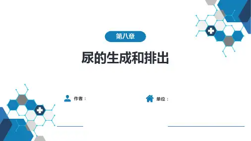 生理学-第八章 尿的生成和排泄