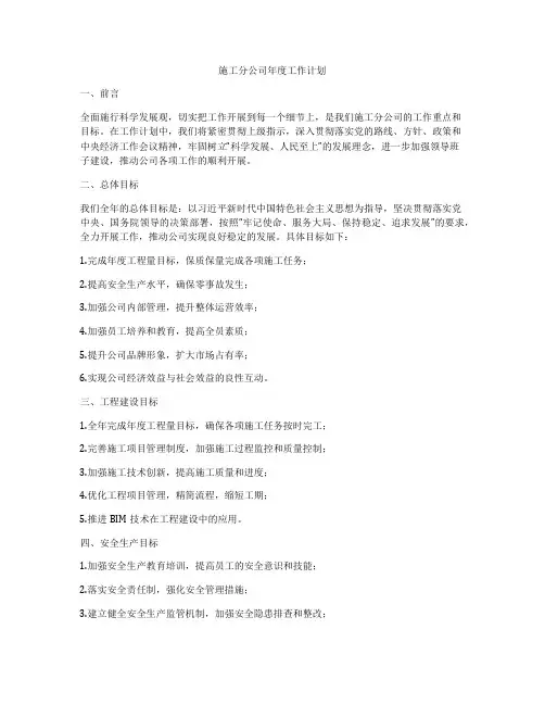 施工分公司年度工作计划