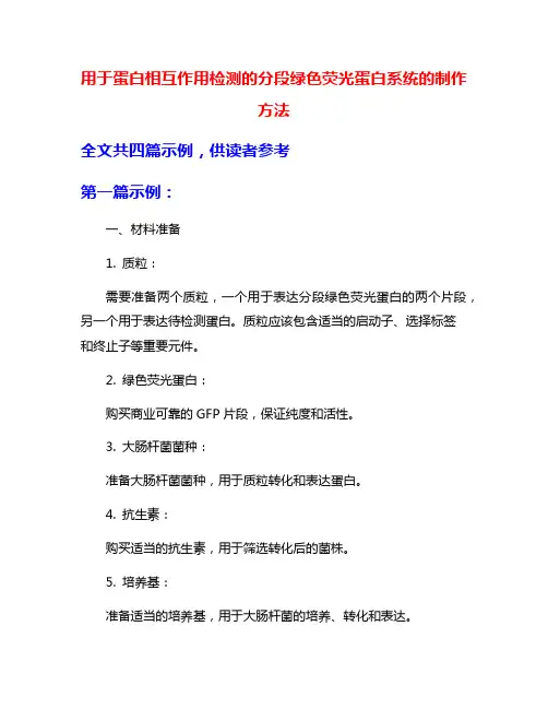 用于蛋白相互作用检测的分段绿色荧光蛋白系统的制作方法