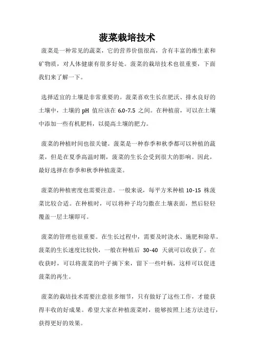 菠菜栽培技术