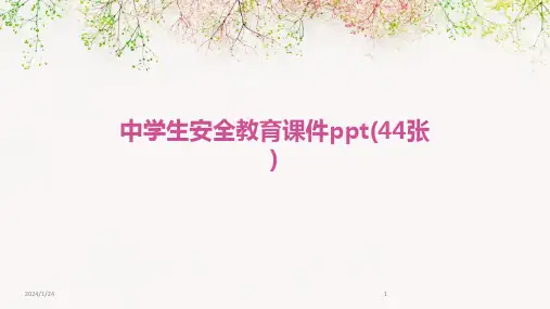 中学生安全教育课件ppt(44张)