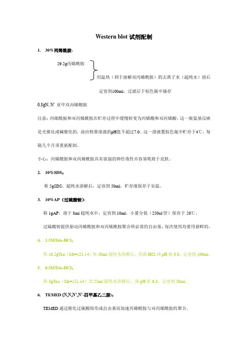 Westernblot实验技术