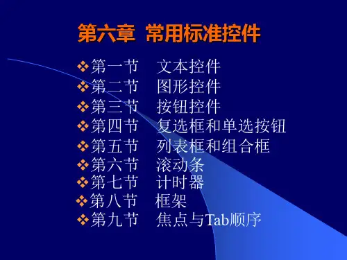 第06章 VB常用标准控件