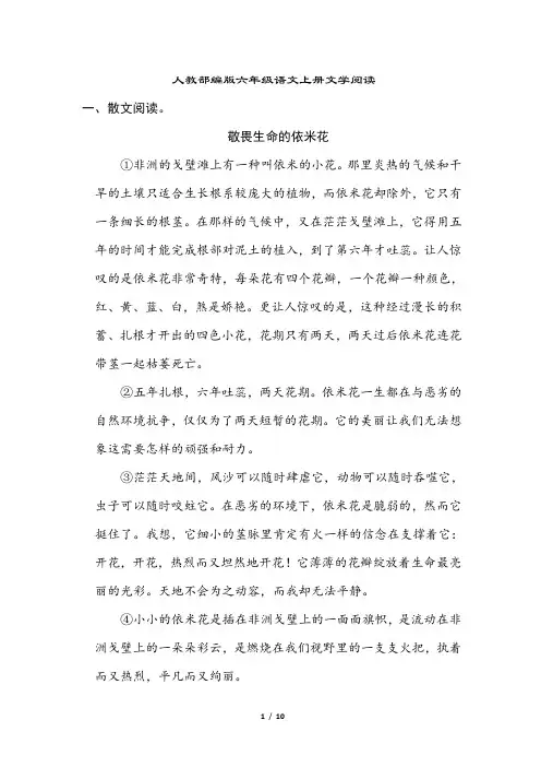 人教部编版六年级语文上册文学阅读专项训练含答案