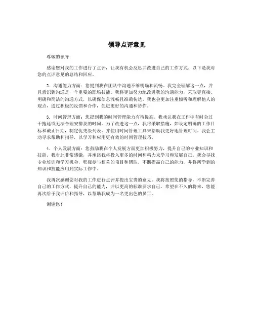 领导点评意见