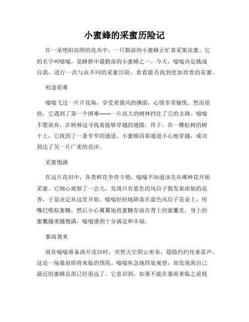 小蜜蜂的采蜜历险记