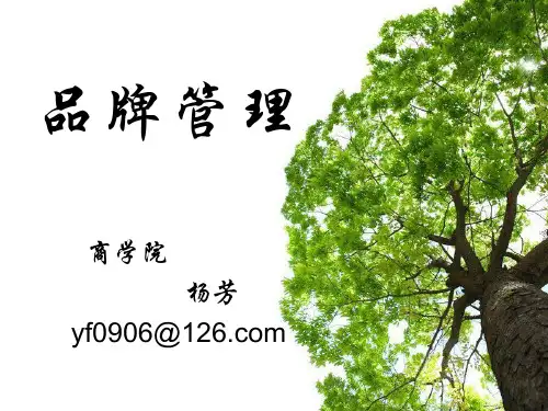 品牌传播策略讲义课件PPT课件( 67页)