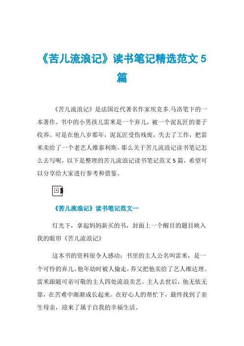 《苦儿流浪记》读书笔记精选范文5篇