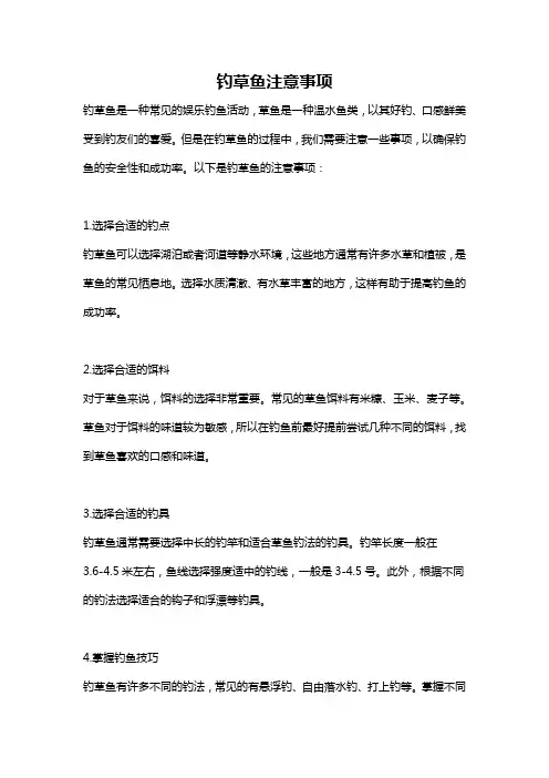 钓草鱼注意事项