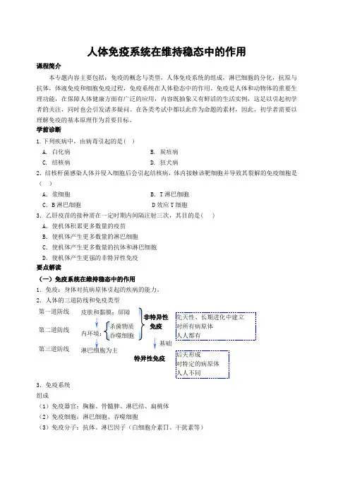 人体免疫系统在维持稳态中的作用