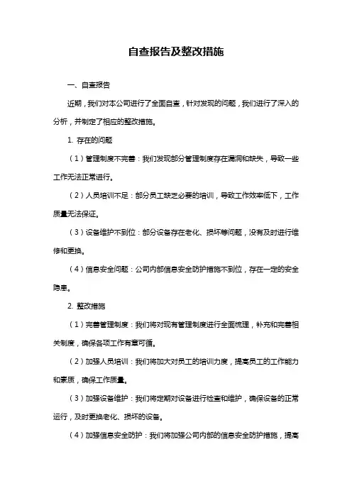 自查报告及整改措施