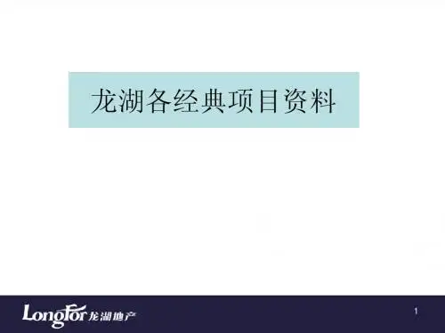 龙湖各经典项目资料