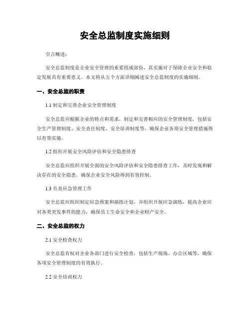 安全总监制度实施细则