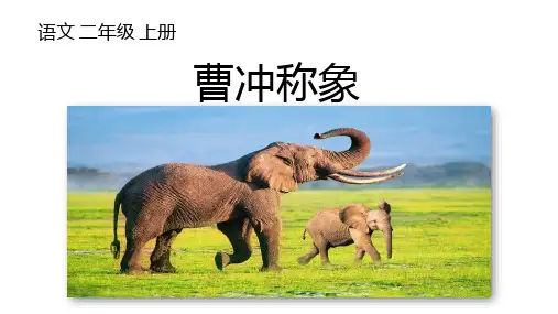 《曹冲称象》ppt课件