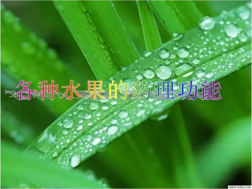 各种水果的药理功效ppt课件
