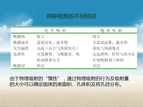 BET的原理及使用方法ppt课件