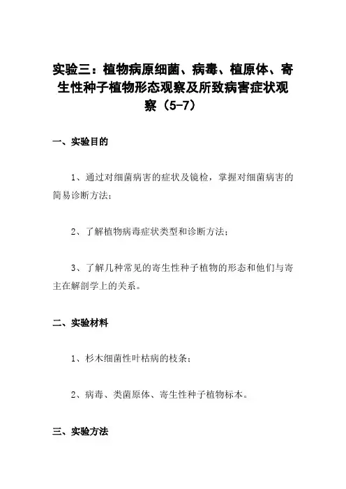 实验三 植物病原细菌 病毒 植原体 寄生性种子植物形态观察及所致病害症状观察