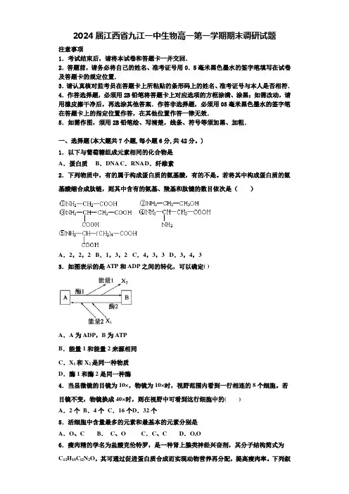 2024届江西省九江一中生物高一第一学期期末调研试题含解析
