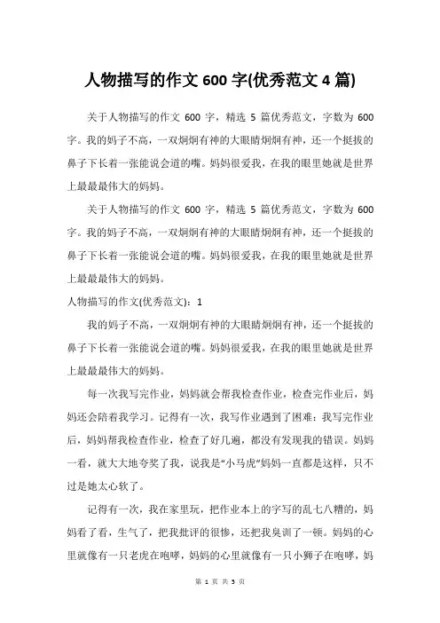 人物描写的作文600字(优秀范文4篇)