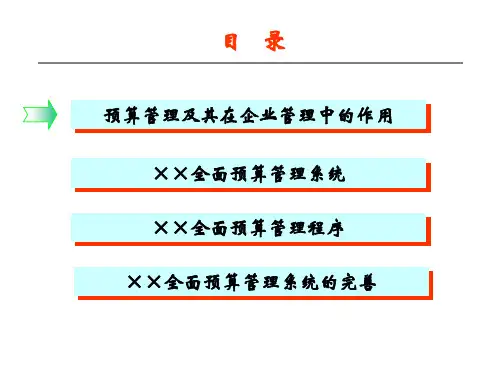 全面预算管理项目PPT课件