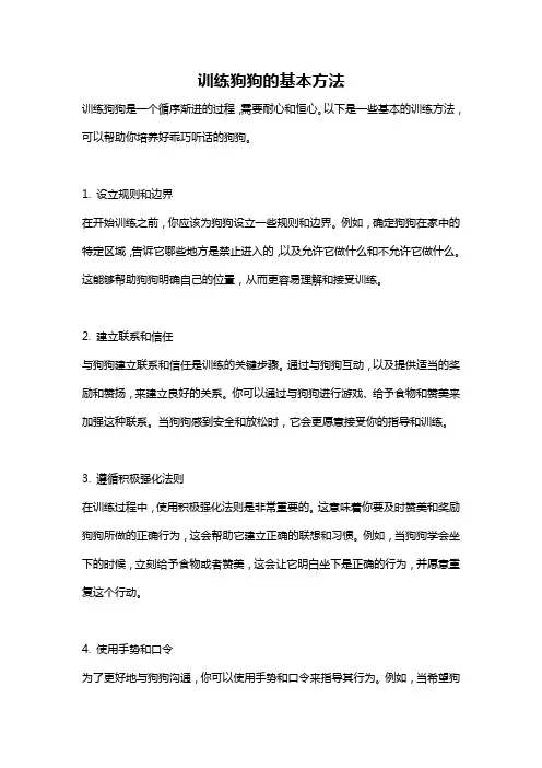 训练狗狗的基本方法