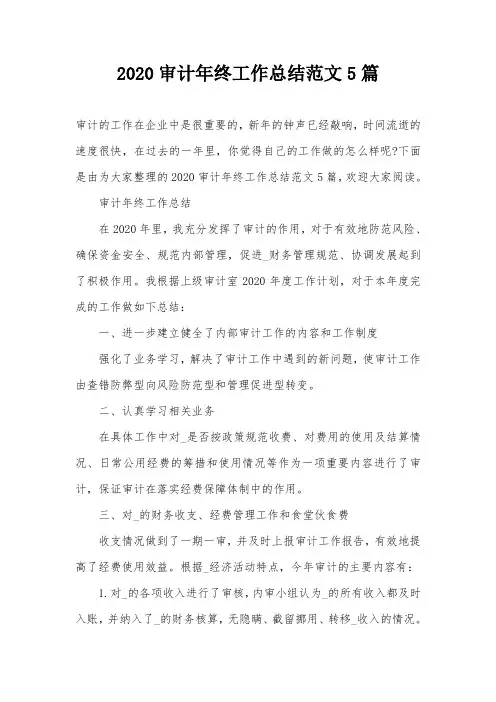 2020审计年终工作总结范文5篇