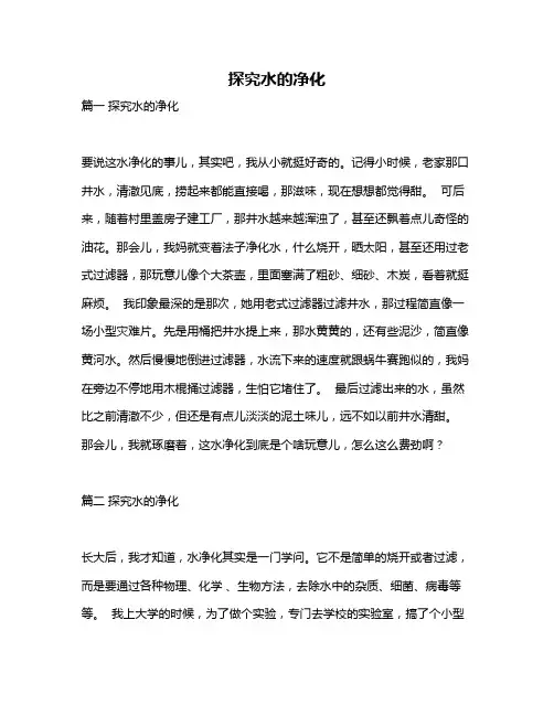 作文《探究水的净化》