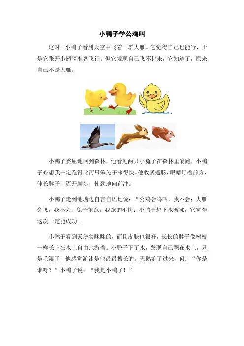 看图写话有4副图,第一个图是小鸭子学公鸡叫,第二个图是小鸭子