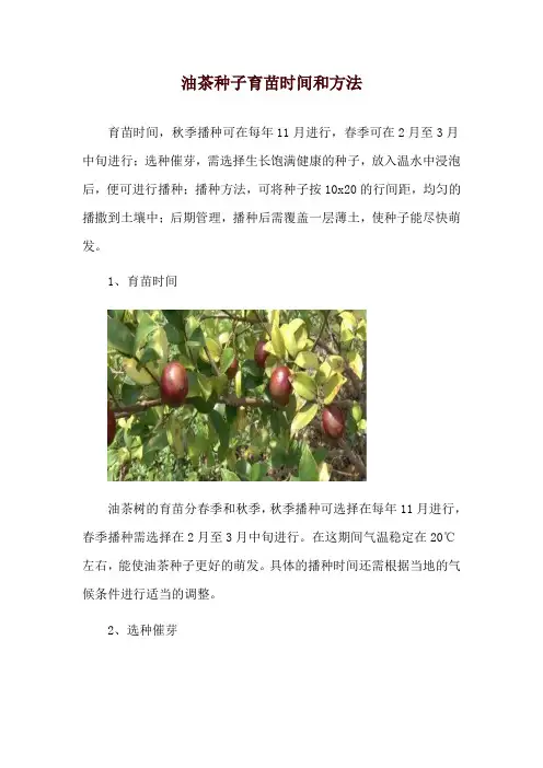 油茶种子育苗时间和方法