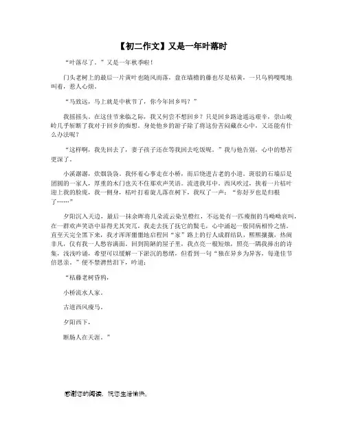 【初二作文】又是一年叶落时