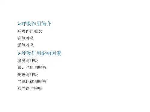 呼吸作用及其影响因素简介
