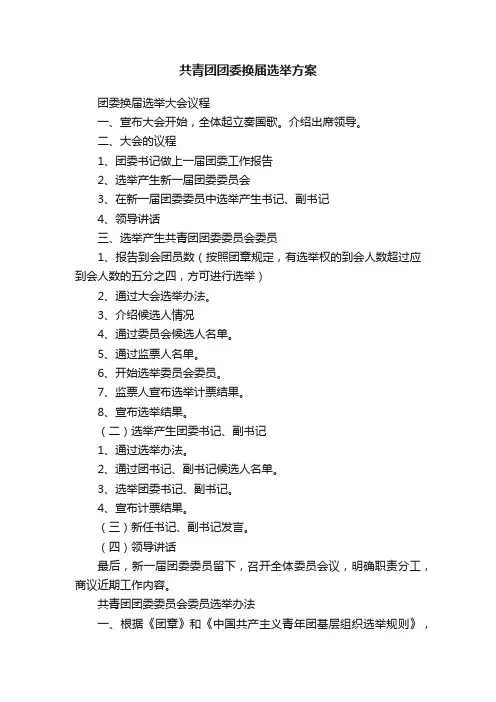 共青团团委换届选举方案