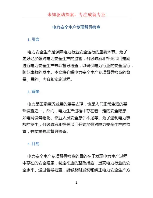 电力安全生产专项督导检查
