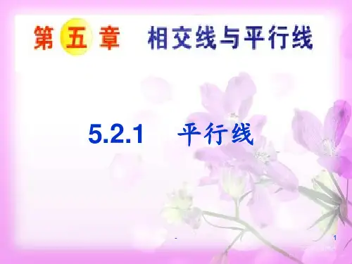 5.2.1平行线(新人教版七年级下)PPT课件
