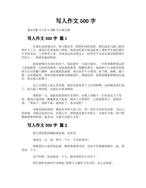写人作文500字