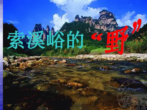 《索溪峪的野》PPT课件(1)