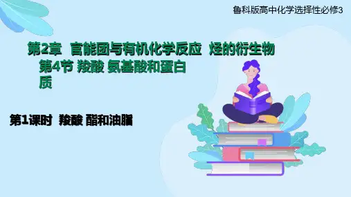 羧酸酯和油脂高中化学课件(鲁科版2019选择性必修3)