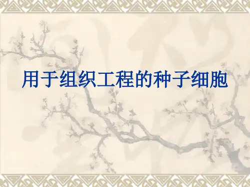 第七章用于组织工程的种子细胞(2010)
