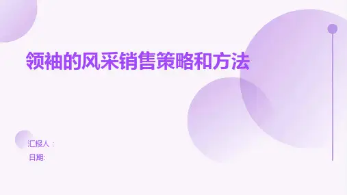 领袖的风采销售策略和方法